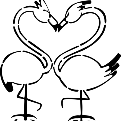 birds 2029250_640