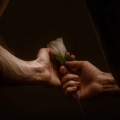 hands 5219048_640